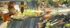 IMG_6421.jpeg