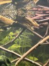 IMG_6445.jpeg