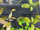 IMG_0410.jpeg