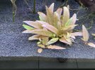 IMG_0405.jpeg