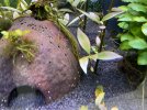 IMG_0441.jpeg