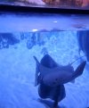 VideoCapture_20230812-175722.jpg