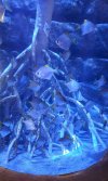 VideoCapture_20230812-180020.jpg