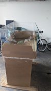 PXL_20230815_101545038.jpg