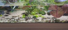 VideoCapture_20230911-162952.jpg