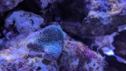 PXL_20230920_094504250.jpg