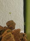 20230925_082506.jpg