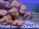 20231010_225931.jpg