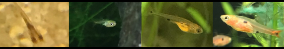 3.png 3.png