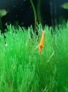 20231019_215341.jpg