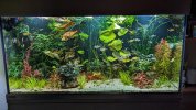 PXL_20231030_200104013.jpg