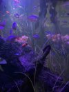 IMG_7161.jpeg