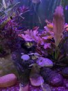 IMG_7160.jpeg