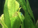 IMG_2674.jpeg