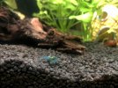 IMG_2670.jpeg