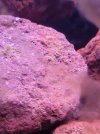 20231203_005020.jpg