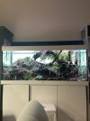 IMG_1783.jpeg