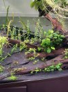 IMG_2056.jpeg