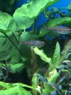 IMG_6122.jpeg