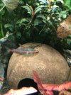 IMG_6118.jpeg