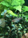 IMG_6115.jpeg