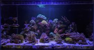 PXL_20240314_171458109.jpg