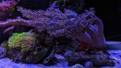 PXL_20240314_171555311.jpg