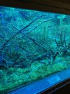 IMG_8241.jpeg