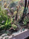 IMG_8240.jpeg