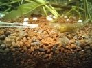 20240330_065420.jpg 20240330_065420.jpg