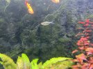 IMG_6049.jpeg IMG_6049.jpeg