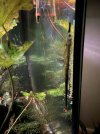 IMG_8729.jpeg