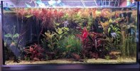 PXL_20240530_184153075~2.jpg