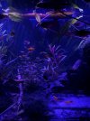 IMG_8839.jpeg