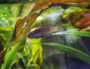 IMG_6512.jpeg