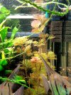 IMG_20240707_184506.jpg