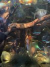 IMG_9085.jpeg