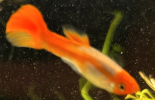 110.png 110.png