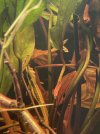 IMG_9613.jpeg