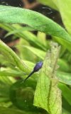 IMG_9645.jpeg