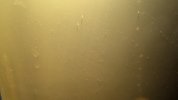 PXL_20241020_120233169.jpg