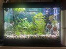 Aquarium Büro 20.10.2024.JPG