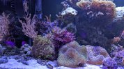 PXL_20241110_145312692.jpg