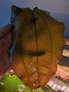 20250112_212949.jpg