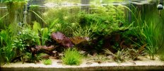 Aquarium - 1 von 5.jpeg