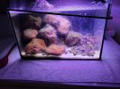 20250216_010531.jpg