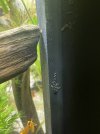 IMG_3653.jpeg