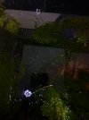 20250313_215555.jpg