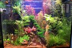 20250406_190051.jpg