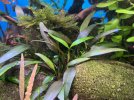 IMG_7170.jpeg
